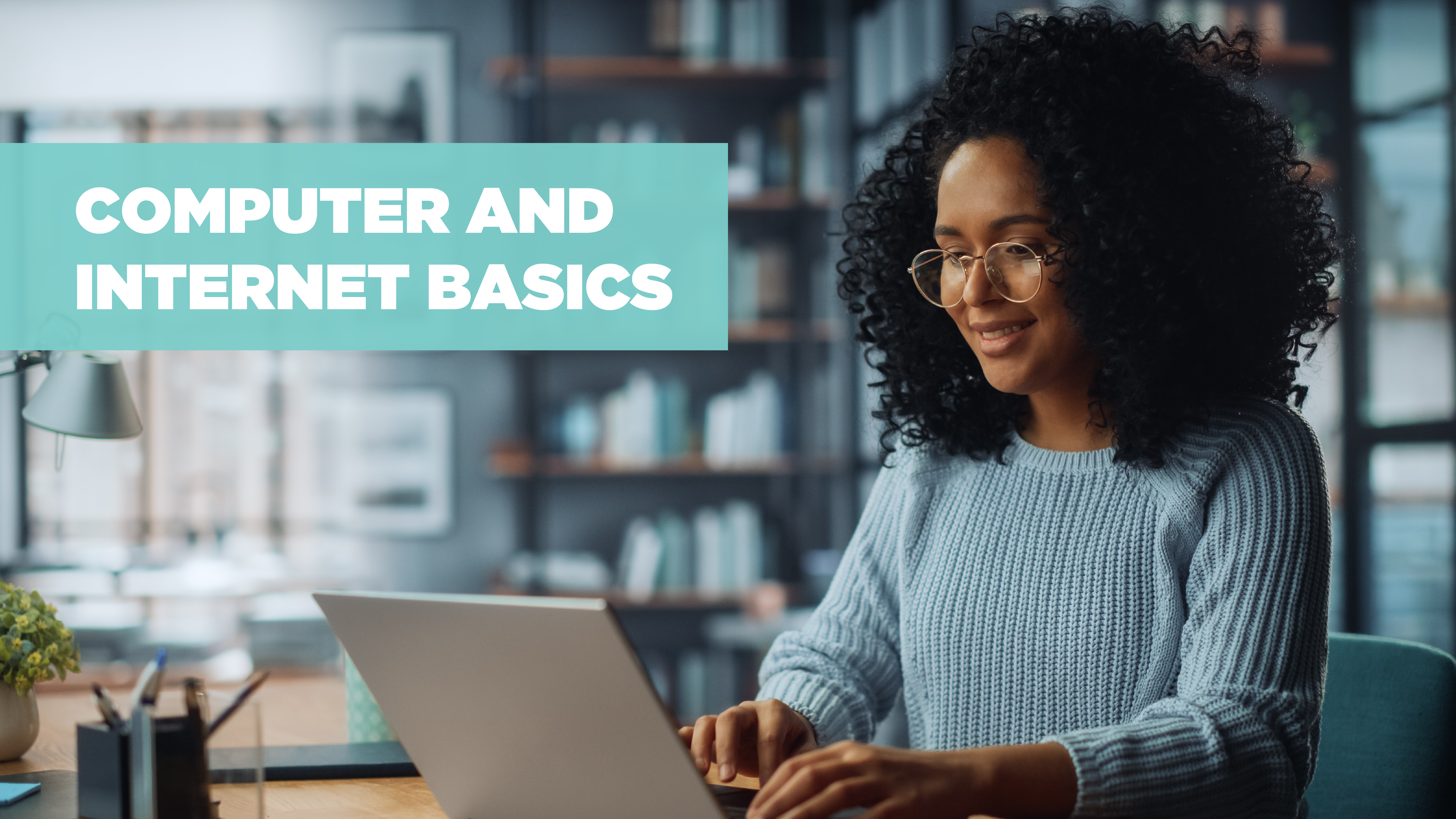 Computer & Internet Basics - Des Plaines