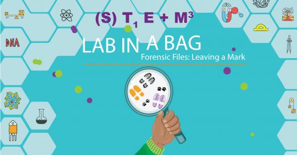 Image for event: Lab In A Bag