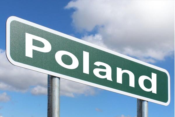 Image for event: Polish Immigration to America 